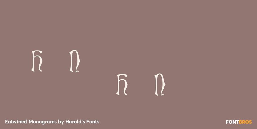 Entwined Monograms Font Poster #1