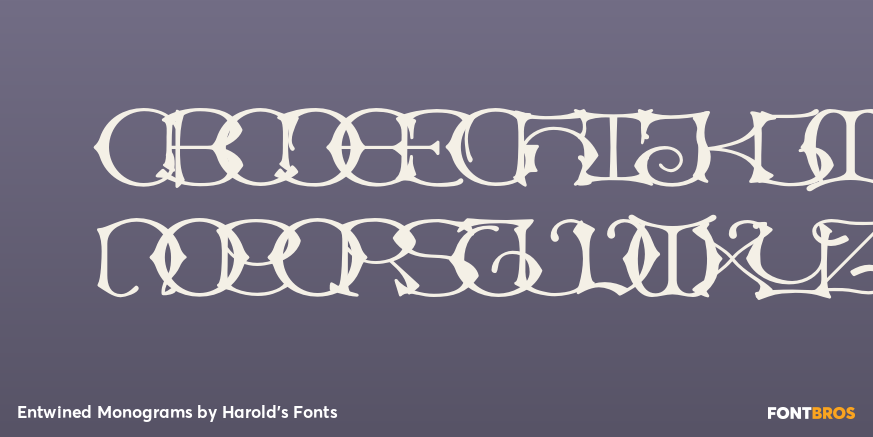 Entwined Monograms Font Poster #3