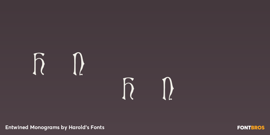 Entwined Monograms Font Poster #4