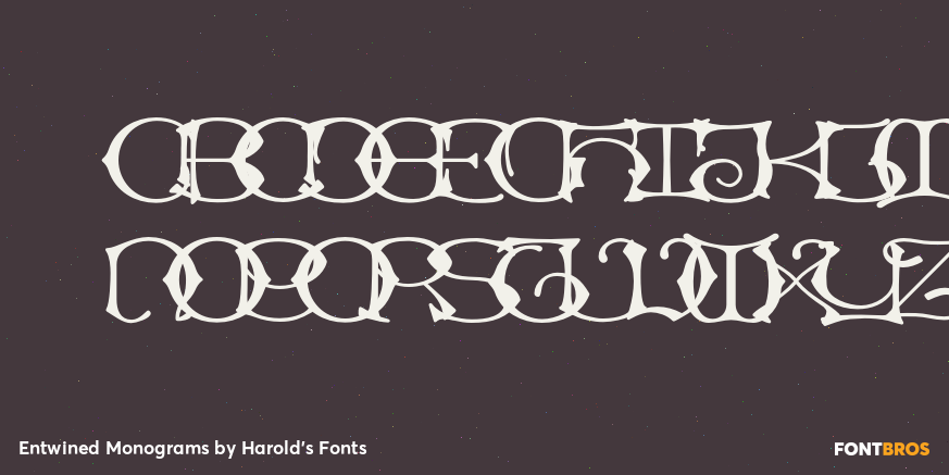 Entwined Monograms Font Poster #1