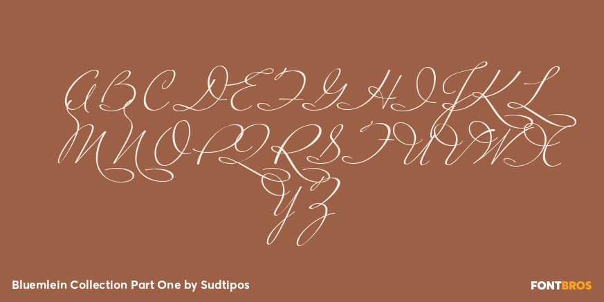 Bluemlein Collection Part One Font Poster #2