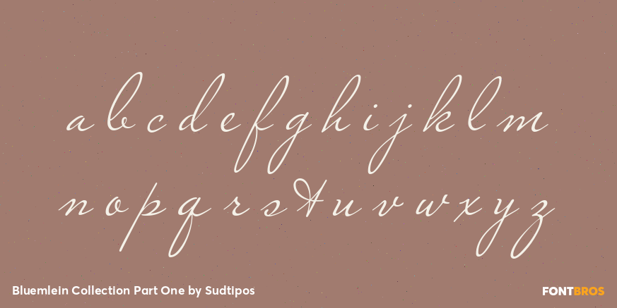 Bluemlein Collection Part One Font Poster #3