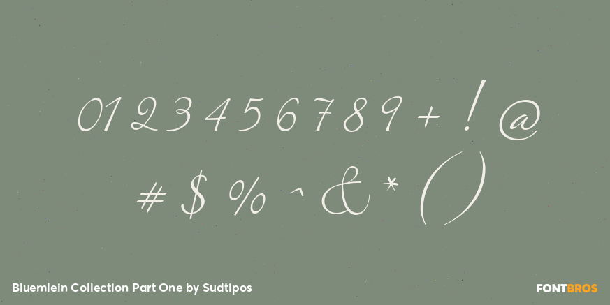 Bluemlein Collection Part One Font Poster #4