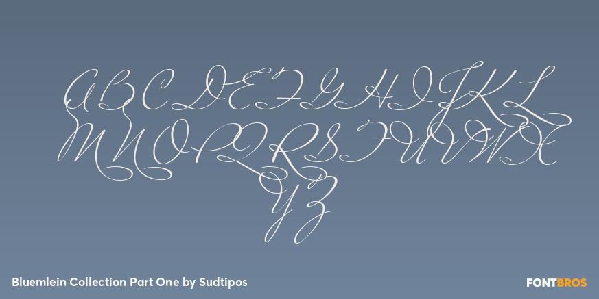 Bluemlein Collection Part One Font Poster #1