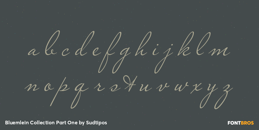 Bluemlein Collection Part One Font Poster #1