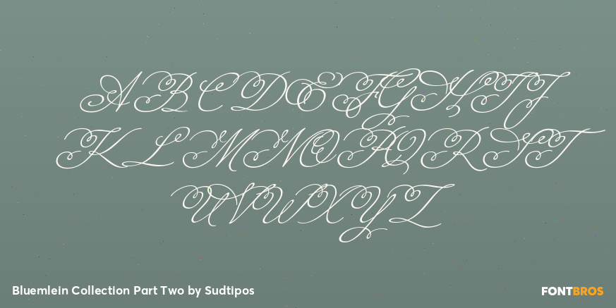 Bluemlein Collection Part Two Font Poster #2