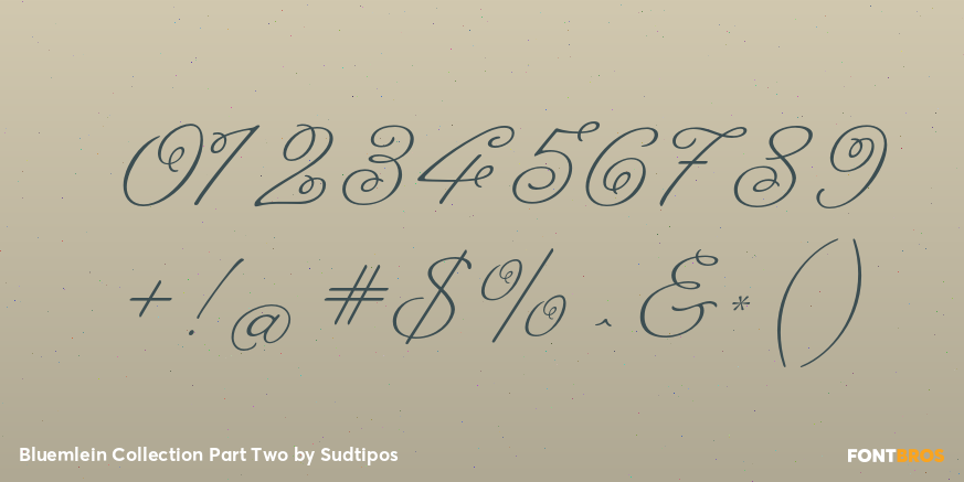 Bluemlein Collection Part Two Font Poster #4