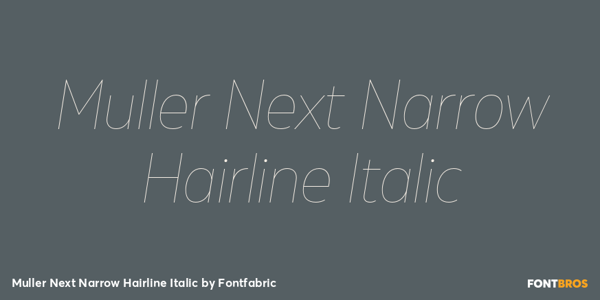 Muller Next Narrow Hairline Italic Font Poster #1