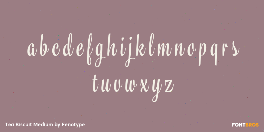 Tea Biscuit Medium Font Poster #3