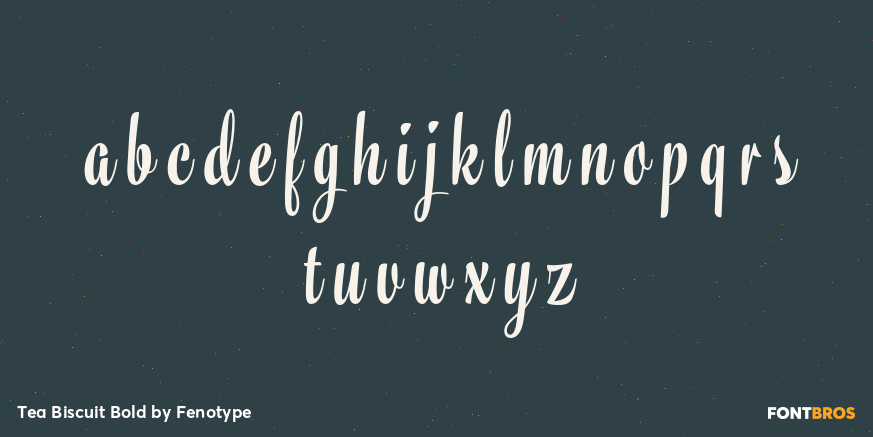 Tea Biscuit Bold Font Poster #3