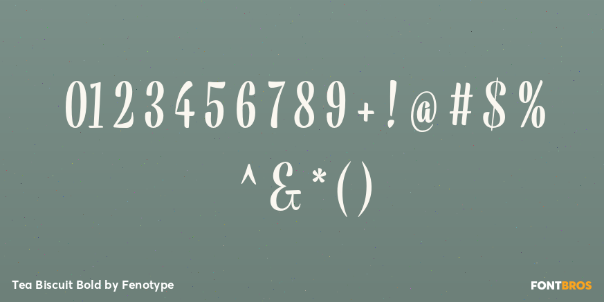 Tea Biscuit Bold Font Poster #4