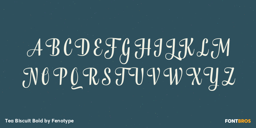 Tea Biscuit Bold Font Poster #1