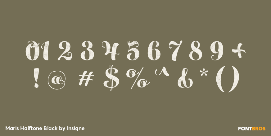 Maris Halftone Black Font Poster #4