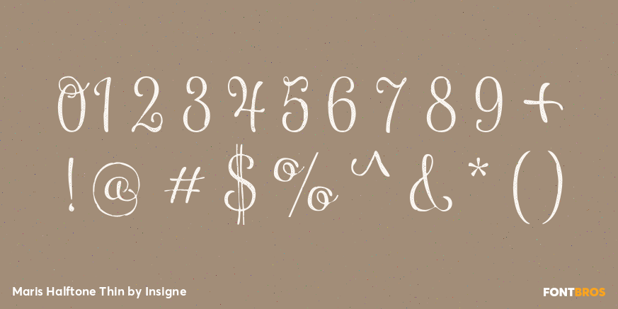 Maris Halftone Thin Font Poster #4
