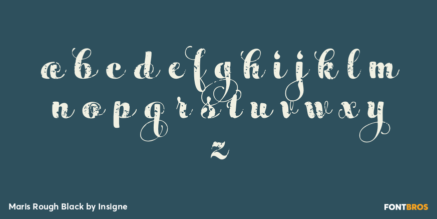 Maris Rough Black Font Poster #1
