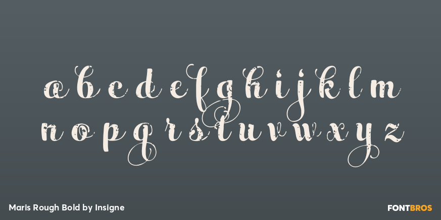Maris Rough Bold Font Poster #3
