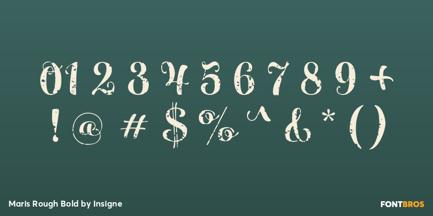 Maris Rough Bold Font Poster #4