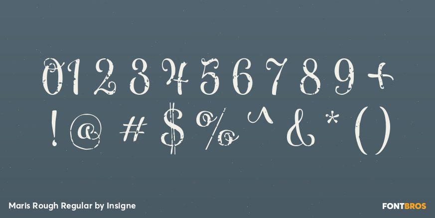 Maris Rough Regular Font Poster #1