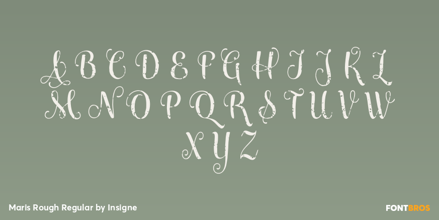 Maris Rough Regular Font Poster #2