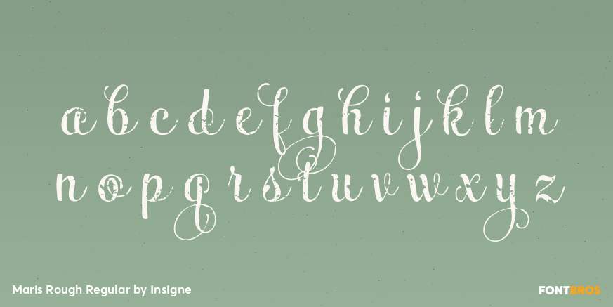 Maris Rough Regular Font Poster #3