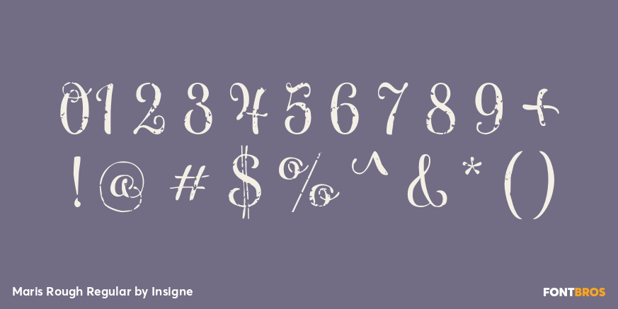 Maris Rough Regular Font Poster #4