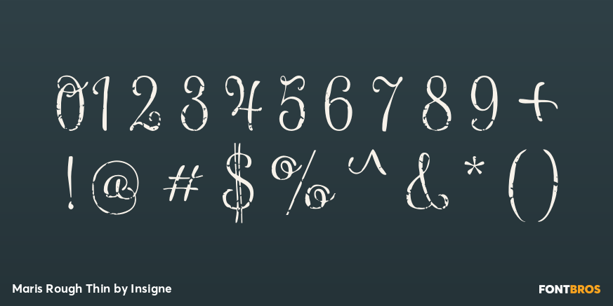 Maris Rough Thin Font Poster #1