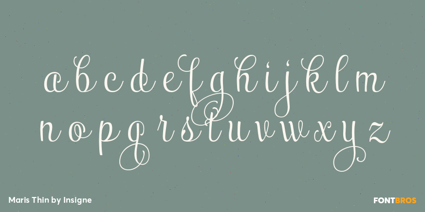 Maris Thin Font Poster #3