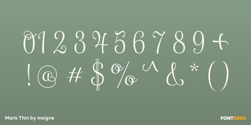 Maris Thin Font Poster #4