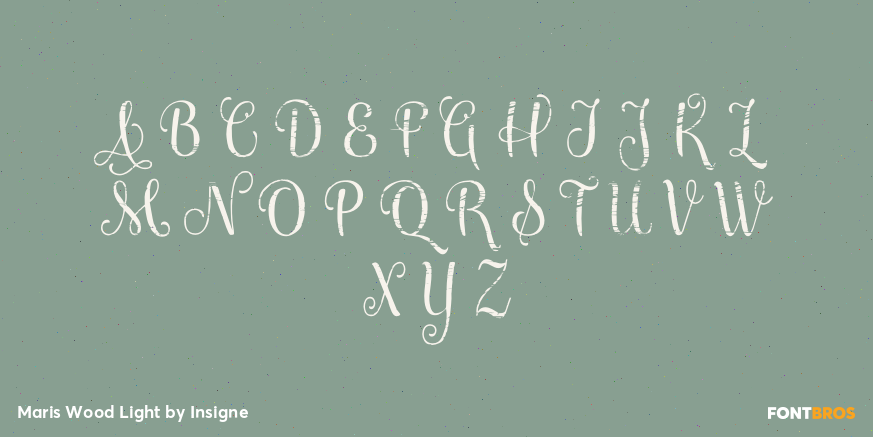Maris Wood Light Font Poster #2