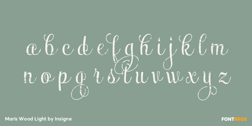 Maris Wood Light Font Poster #3