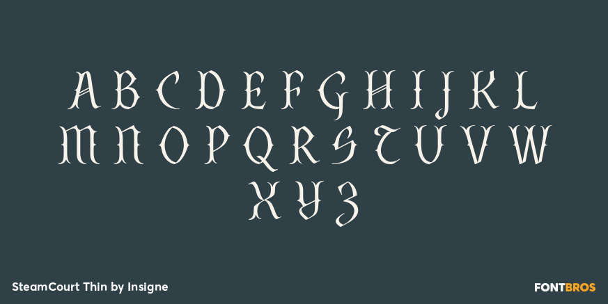 SteamCourt Thin Font Poster #2