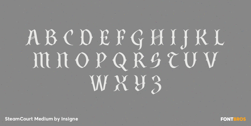 SteamCourt Medium Font Poster #2