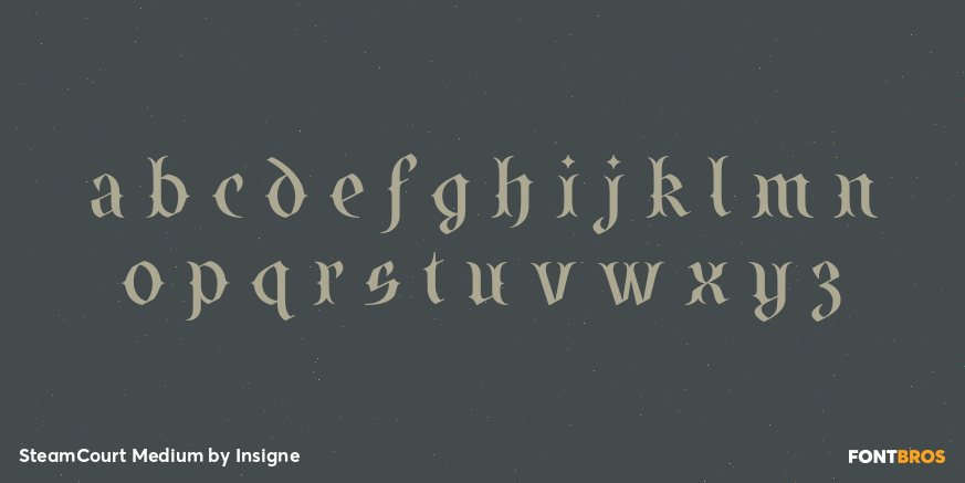 SteamCourt Medium Font Poster #3