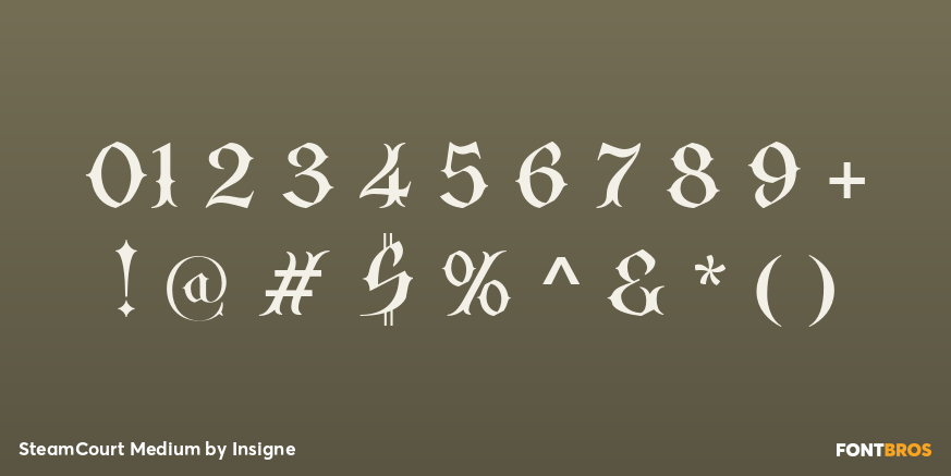 SteamCourt Medium Font Poster #4