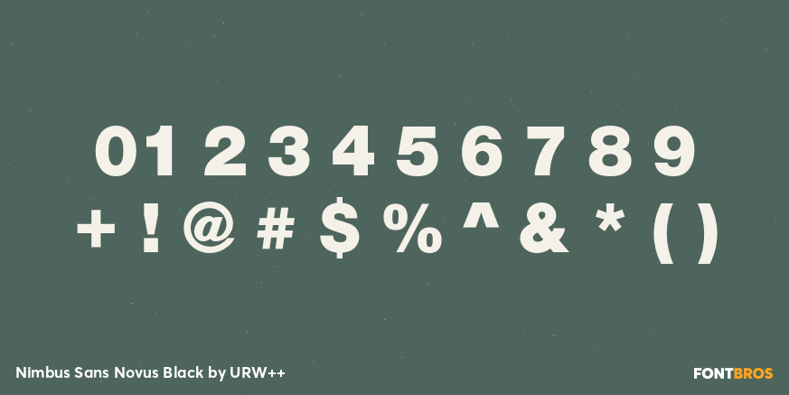 Nimbus Sans Novus Black Font Poster #4