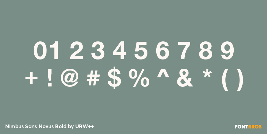 Nimbus Sans Novus Bold Font Poster #1