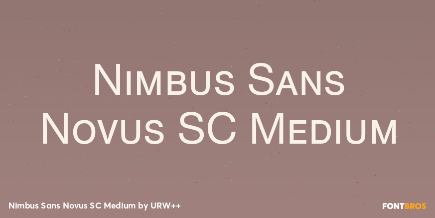 Nimbus Sans Novus SC Medium Font Poster #1