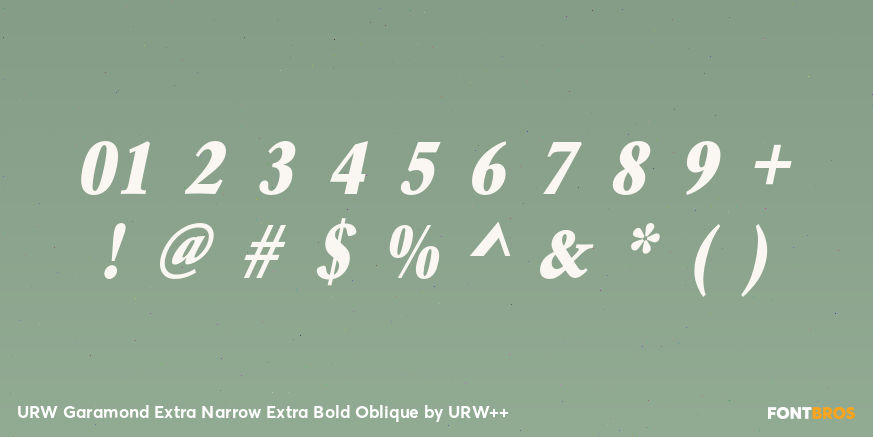 URW Garamond Extra Narrow Extra Bold Oblique Font Poster #1