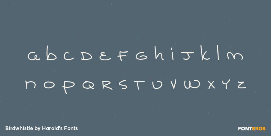 Birdwhistle Font Poster #3