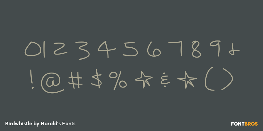 Birdwhistle Font Poster #4