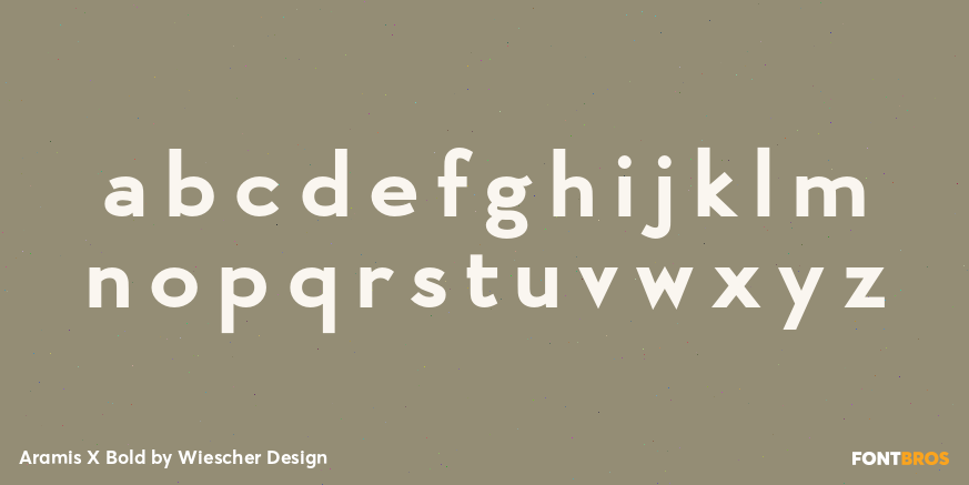 Aramis X Bold Font Poster #1