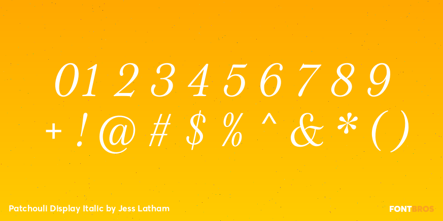 Patchouli Display Italic Font Poster #4