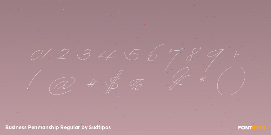 Business Penmanship Regular Font Poster #1