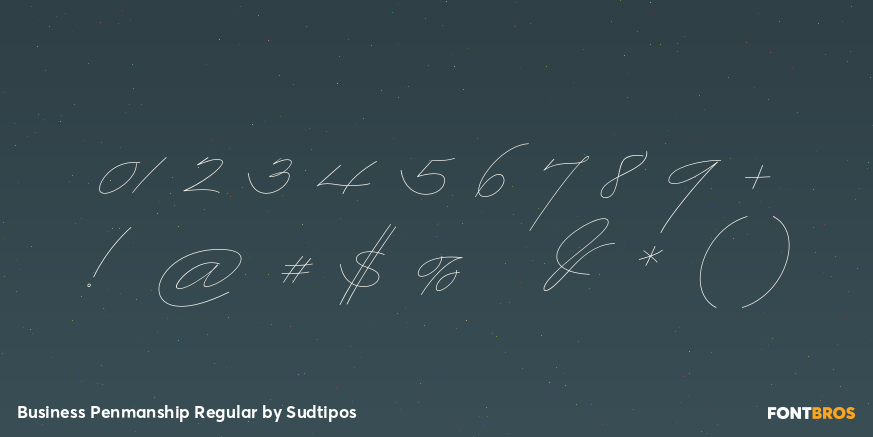 Business Penmanship Regular Font Poster #4