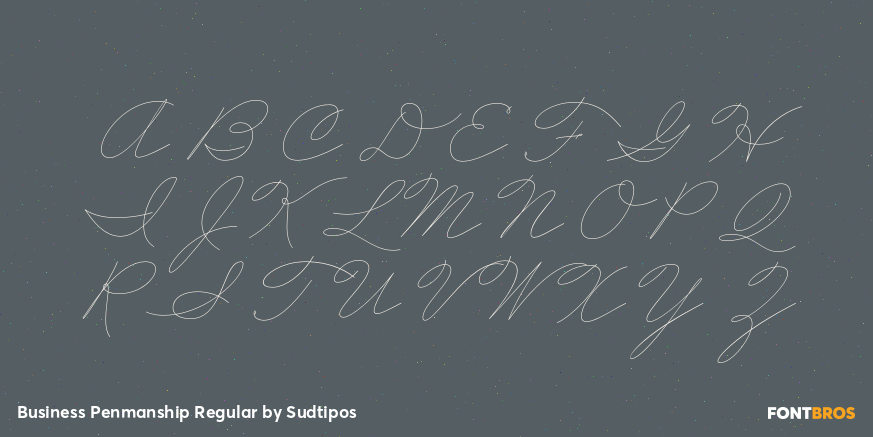Business Penmanship Regular Font Poster #1