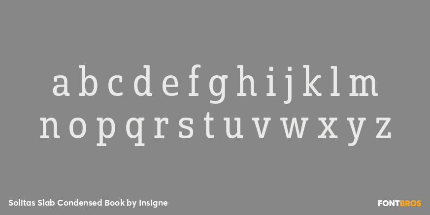 Solitas Slab Condensed Book Font Poster #1