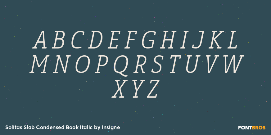 Solitas Slab Condensed Book Italic Font Poster #2