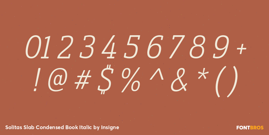 Solitas Slab Condensed Book Italic Font Poster #4
