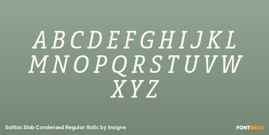Solitas Slab Condensed Regular Italic Font Poster #2