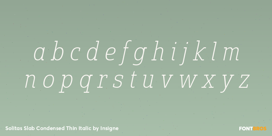 Solitas Slab Condensed Thin Italic Font Poster #3